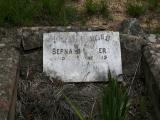 image of grave number 880754